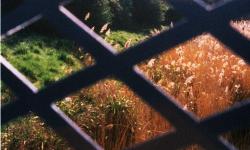 Featured image of post 博客 | Blog